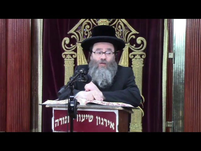 הלכות מגילה - ר' יצחק אייזיק שנייבאלג שליט"א