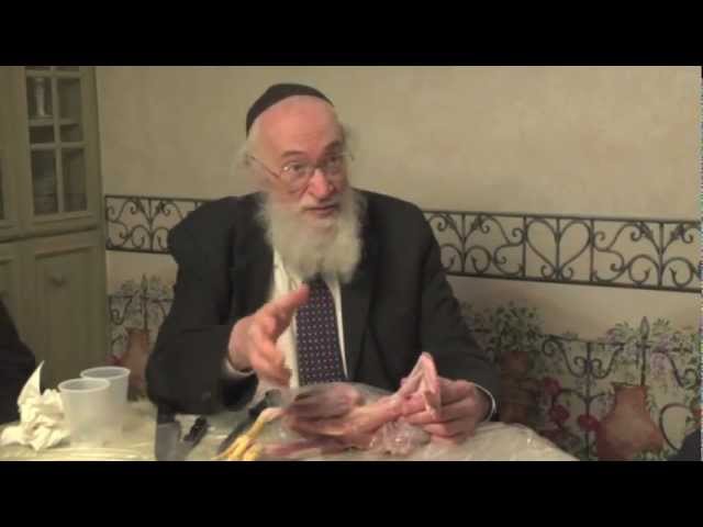 What's wrong with this chicken? - The wing bone & lungs (6 of 8)