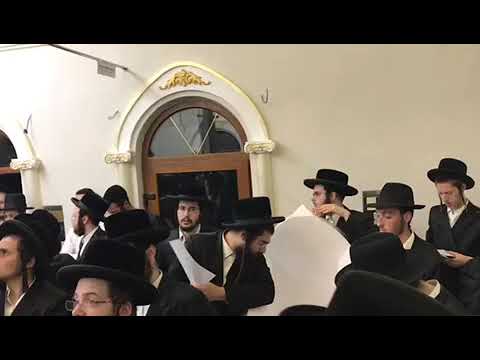 נסיעה למקומות הקדושים בראשית הגה״צ אב״ד לימונוב שליט״א
