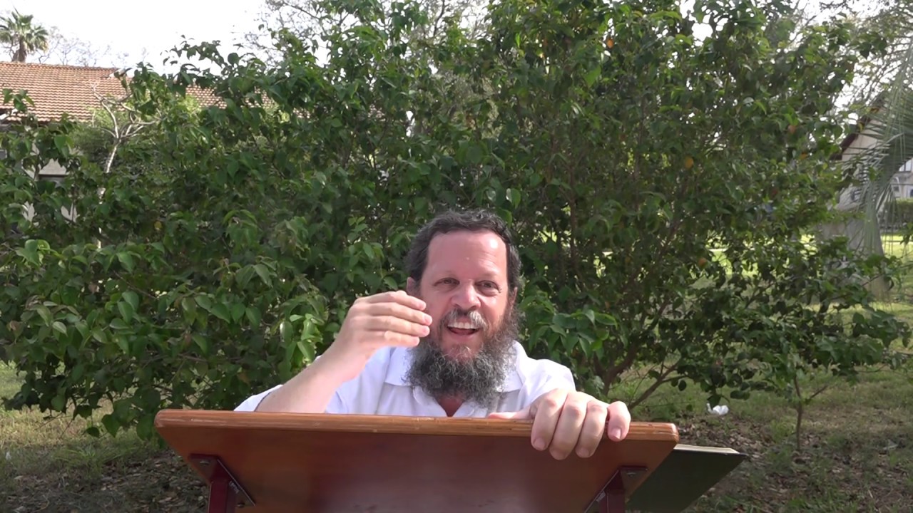 פרקי הלל | שיעור 2 בצאת ישראל | הרב אהרן פרידמן
