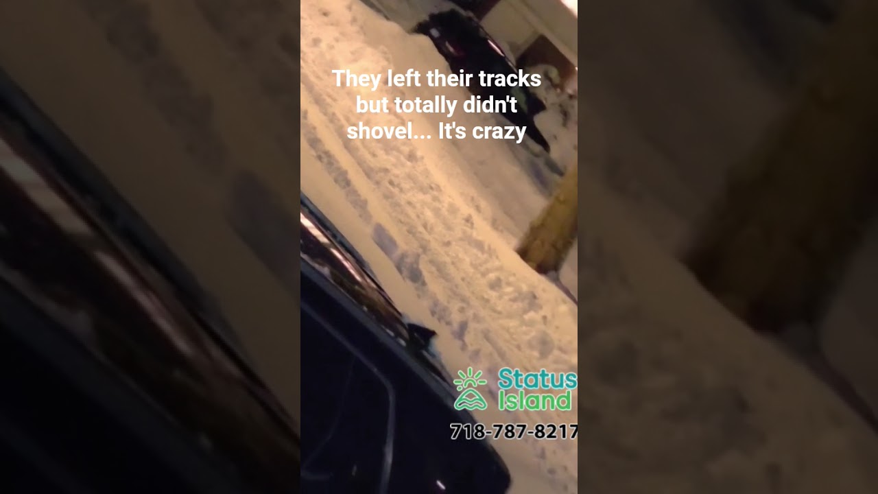 They left their tracks but totally didn't shovel... It's crazy