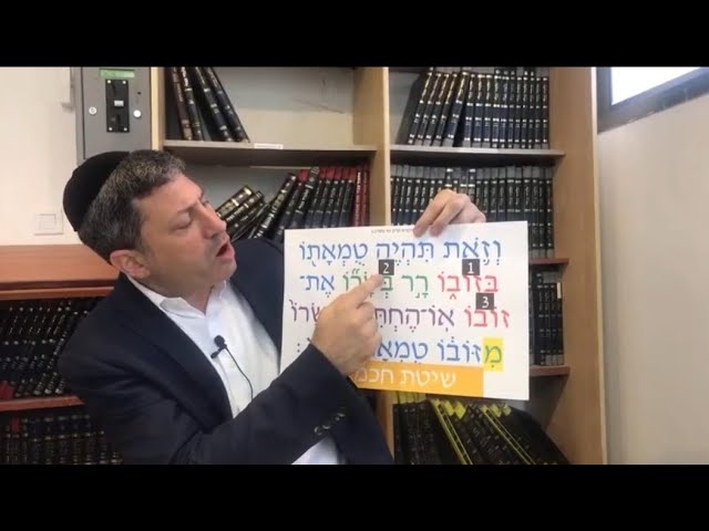 Daf Yomi Niddah Daf 43  by R’ Eli Stefansky