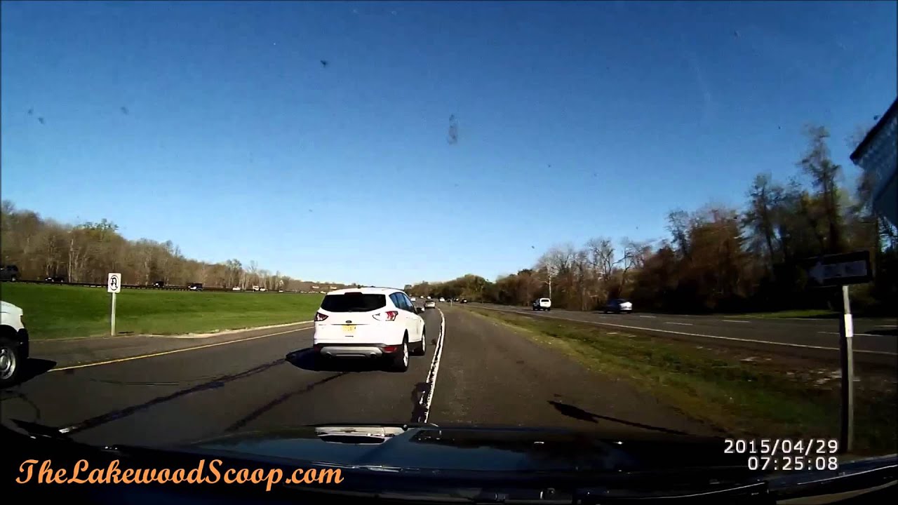 Animal on Garden State Parkway