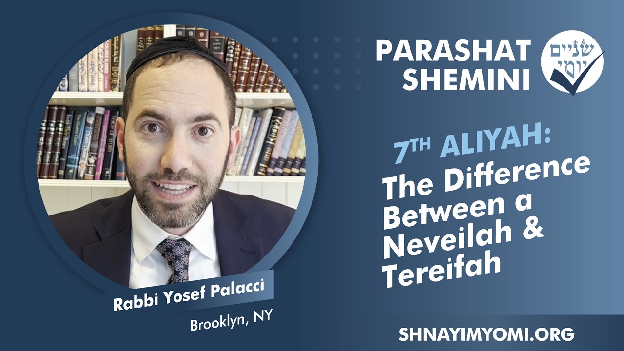 Shnayim Yomi - Shemini - Sh'vi'i - #7 - R Yosef Palacci - Difference Between a Neveilah & Tereifah