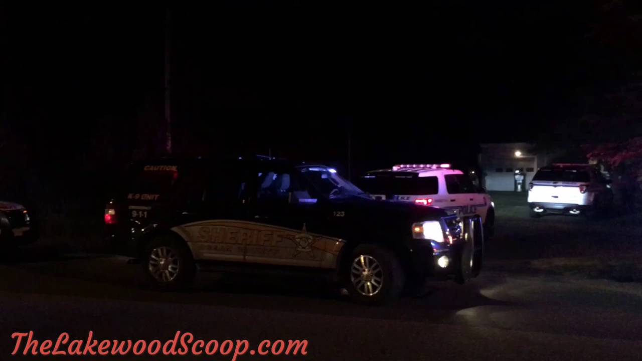 Shooting scene in Raintree