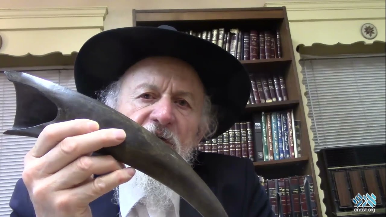 The Shofars the Rebbe Used, and Their Unique Stories