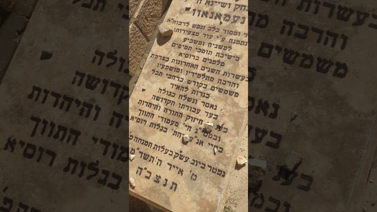 Har Hazeisim #1- Reb Nochum Sassonkin & Reb Nissan Nemenow - RC Dalfin