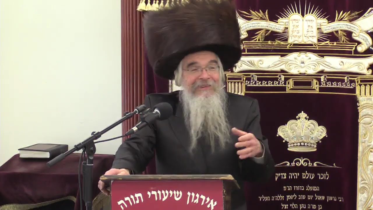 שאלות ותשובות וחידושים ובירורי הלכה למעשה - ר' אברהם חיים שטיינווארצעל שליט"א