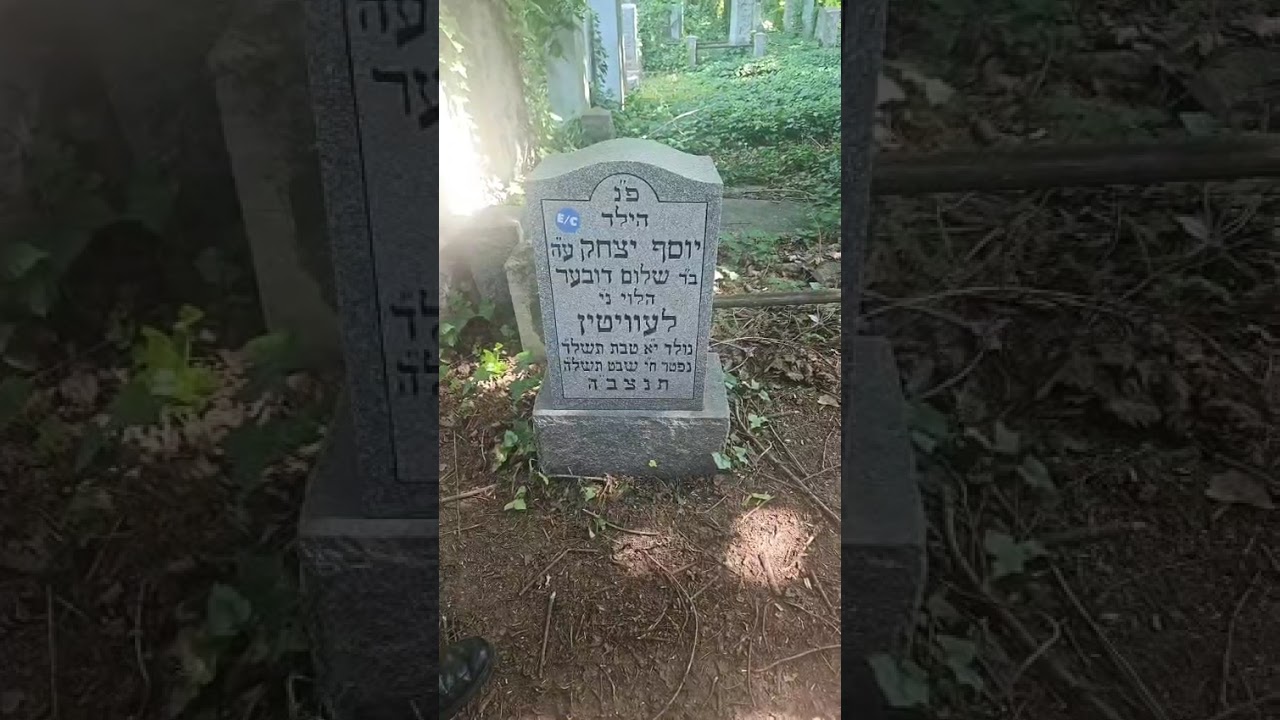 Chabad Staten Island Cemetery #2 - Yosef Y Levitin, child, 1975 - RC Dalfin