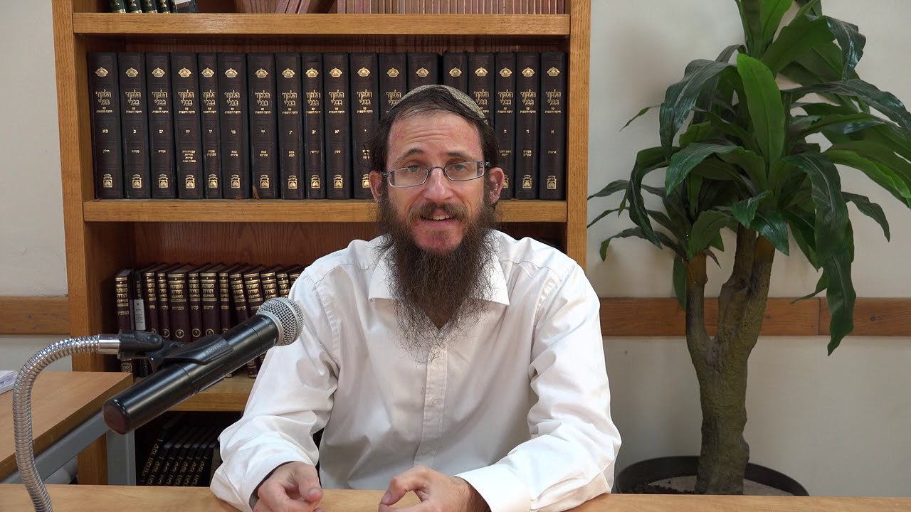 מוסקט # פרשת חיי שרה