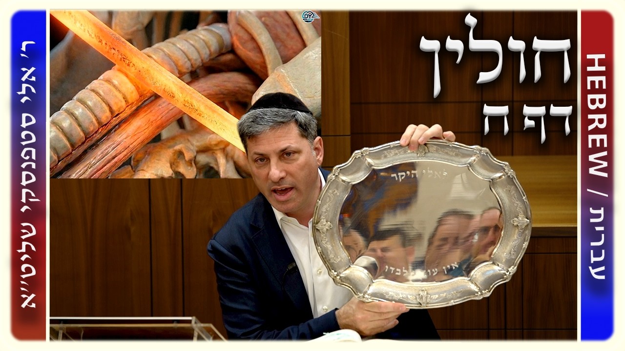 מרכז דף יומי - חולין דף ח. - ר' אלי סטפנסקי שליט"א