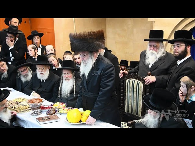 חמשה עשר בשבט אין חצר הקודש נדבורנה
