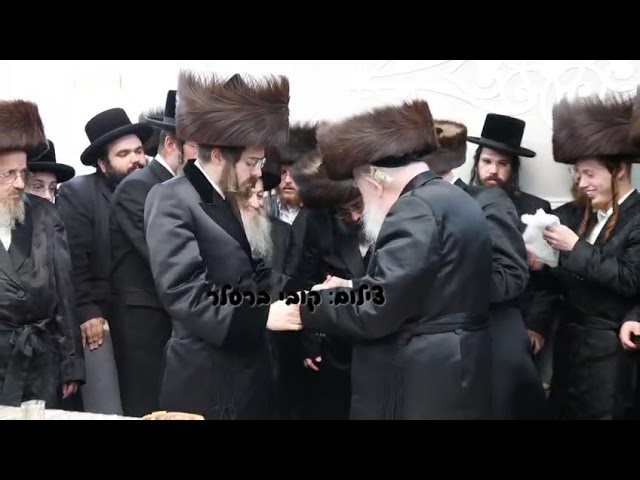 Sadigura Rebbe