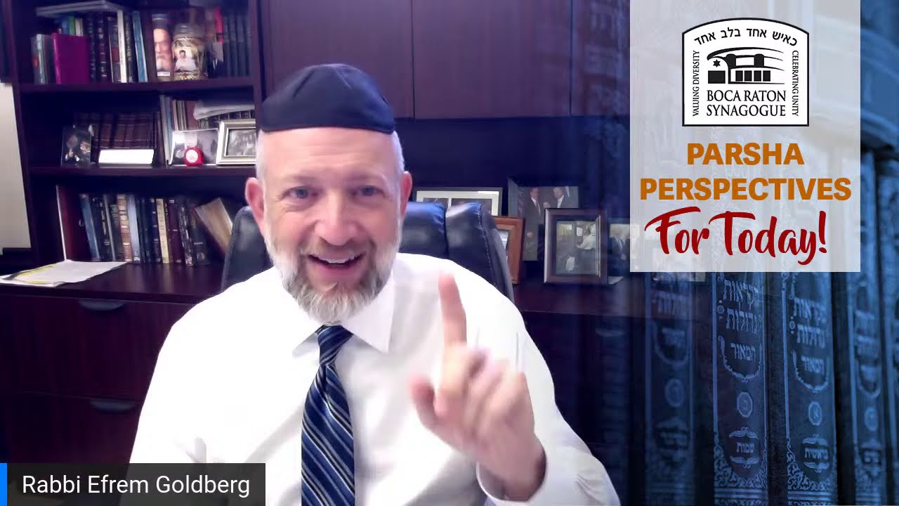 Parsha Perspectives for Today (Lech Lecha)