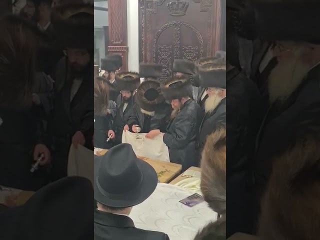 מוצש״ק מיט כ״ק אדמו״ר מתולדות אברהם יצחק שליט״א אין בארדיטשוב