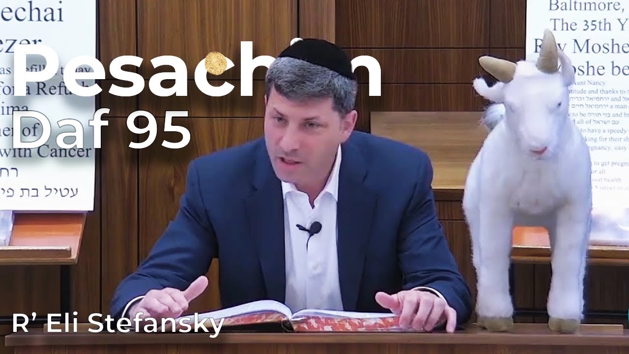 Daf Yomi Pesachim Daf 95 by R’ Eli Stefansky
