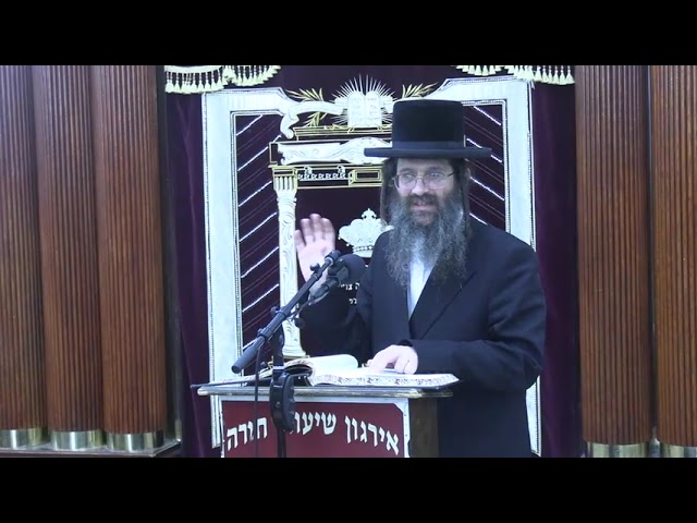 הלכות מוקצה דיני בסיס - ר' אהרן שמואל פדווא שליט"א