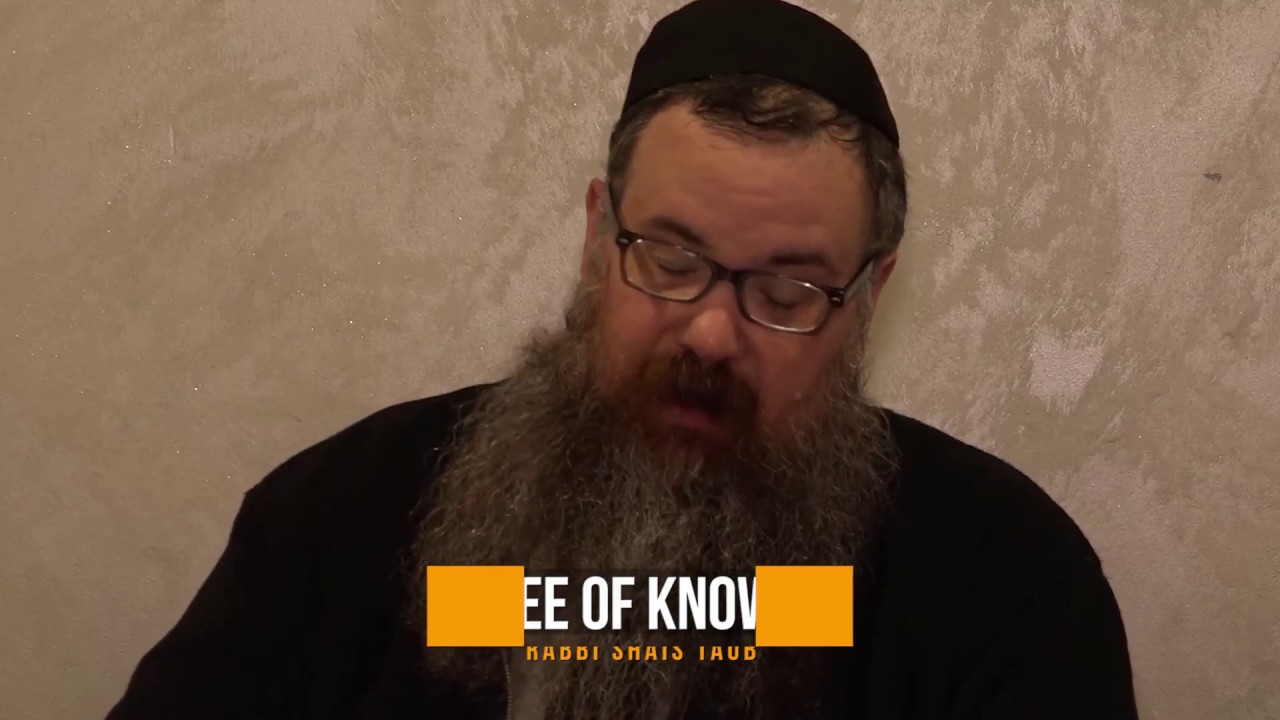 The Tree of Knowledge