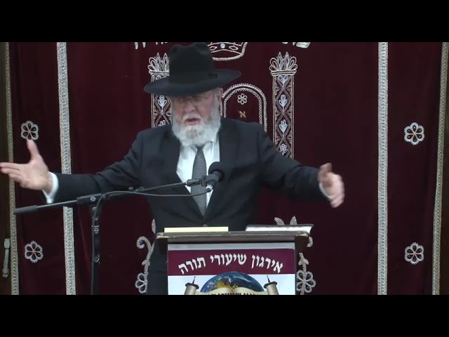 How Do We Stay Sane While The World Goes Down The Drain ? - Rabbi Zev Cohen