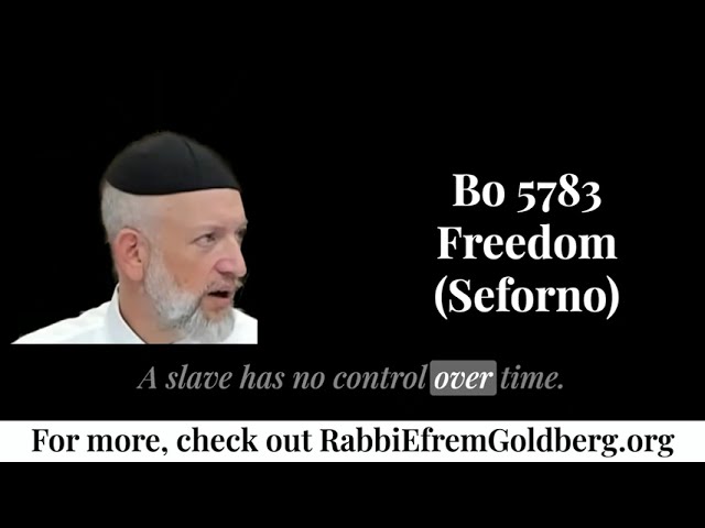 What is the Meaning of Freedom (Bo 5783) [Short Clip]