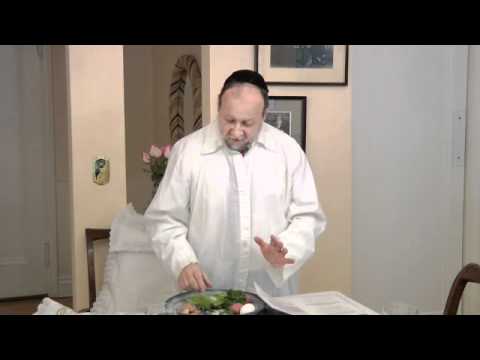Passover Seder 101 #7 Maggid-Telling the Passover Story, Mah Nishtana-The Four Questions