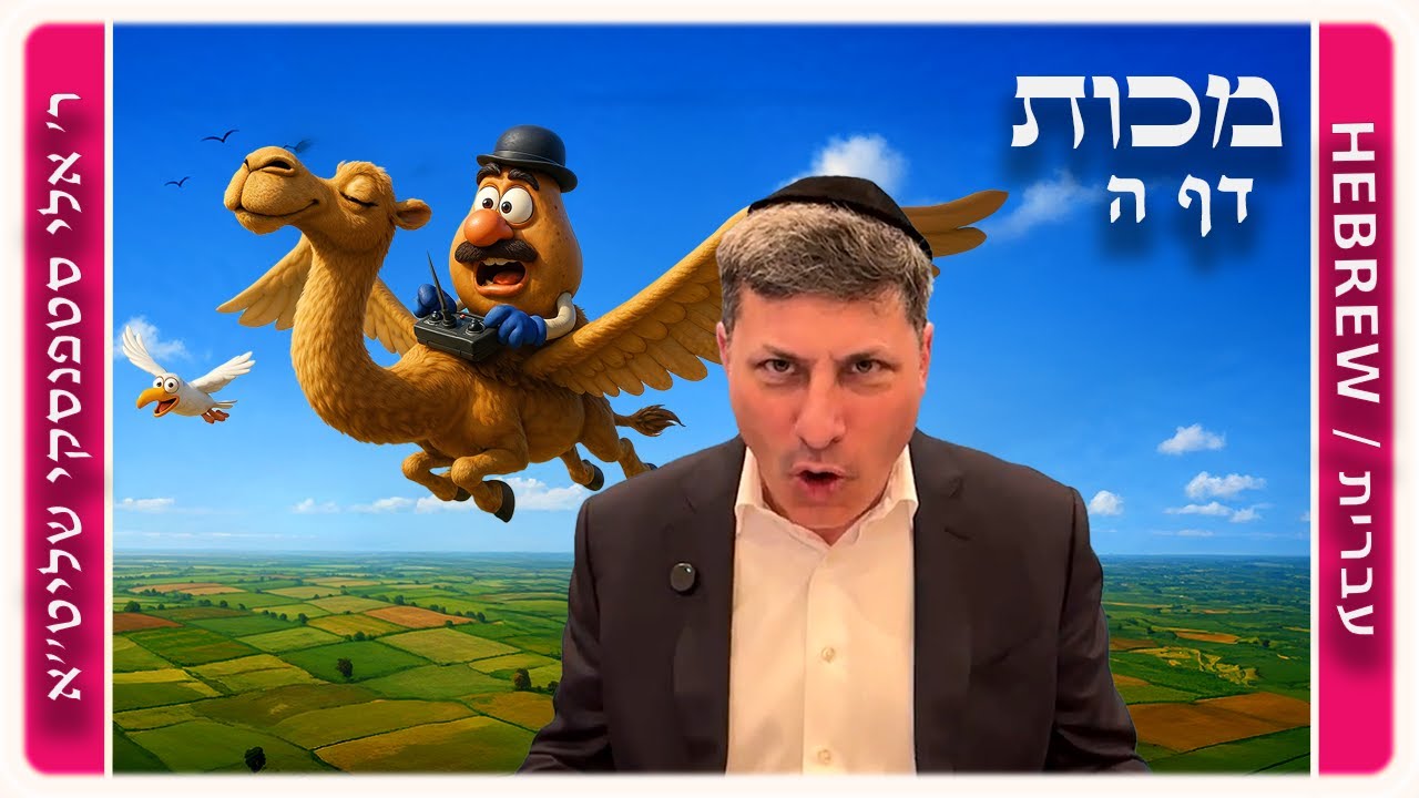 מרכז דף יומי - מכות דף ה. - ר' אלי סטפנסקי שליט"א