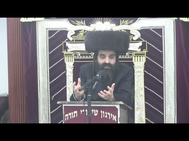 שאלות ותשובות בדיני חושן משפט - ר' משה וויליגער שליט"א