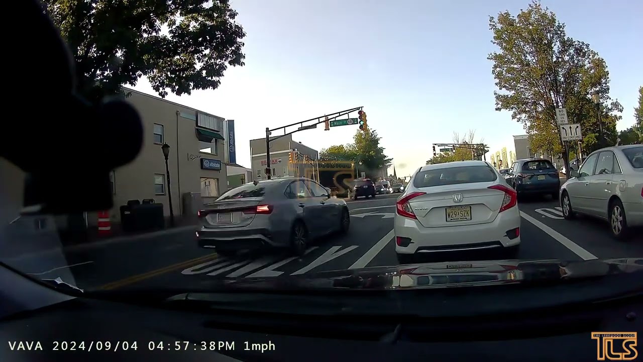 Dashcam - dangerous driver