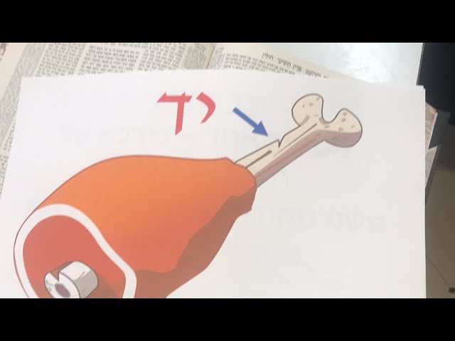 Daf Yomi Chullin Daf  118 by R’ Eli Stefansky