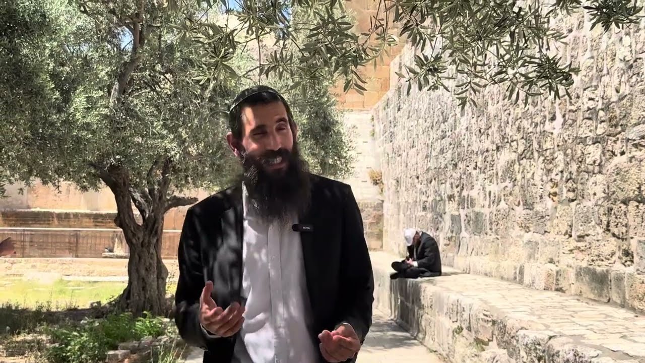 הרב אלישע וולפסון מברך חתנים; שמח על שהושג בהר ונושא עיניו אל העתיד באור