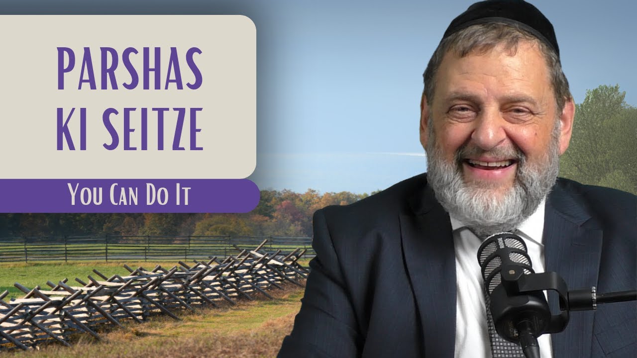 Ki Seitze - You Can Do It | Rabbi Dovid Orlofsky