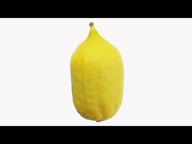 The Esrog