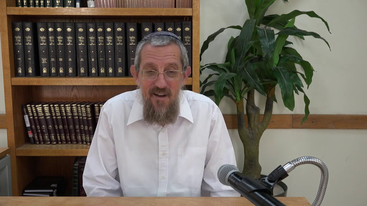 מוסקט # פרשת פקודי