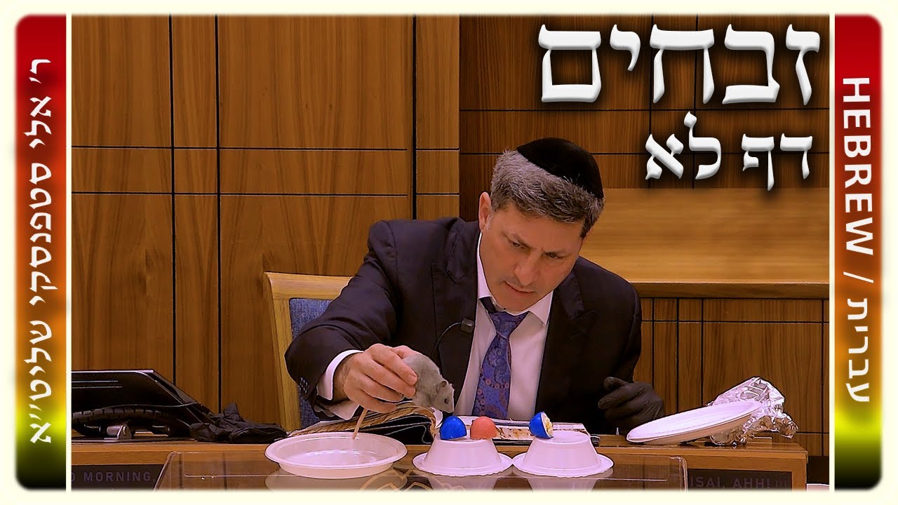 מרכז דף יומי - זבחים דף לא. - ר' אלי סטפנסקי שליט"א