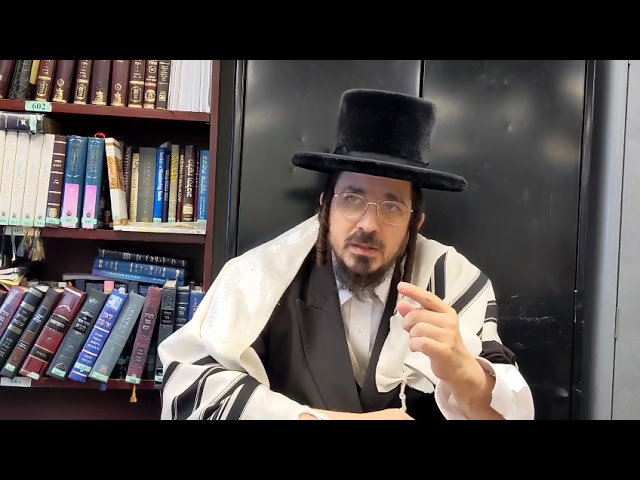 9 Days Hebrew Shiur by Rabbi Benzion Sneh at Scheiner's after Vasikin