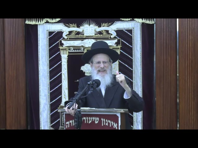 שכירות וקבלנות בשבת - ר' יצחק ביסטריצקי שליט"א