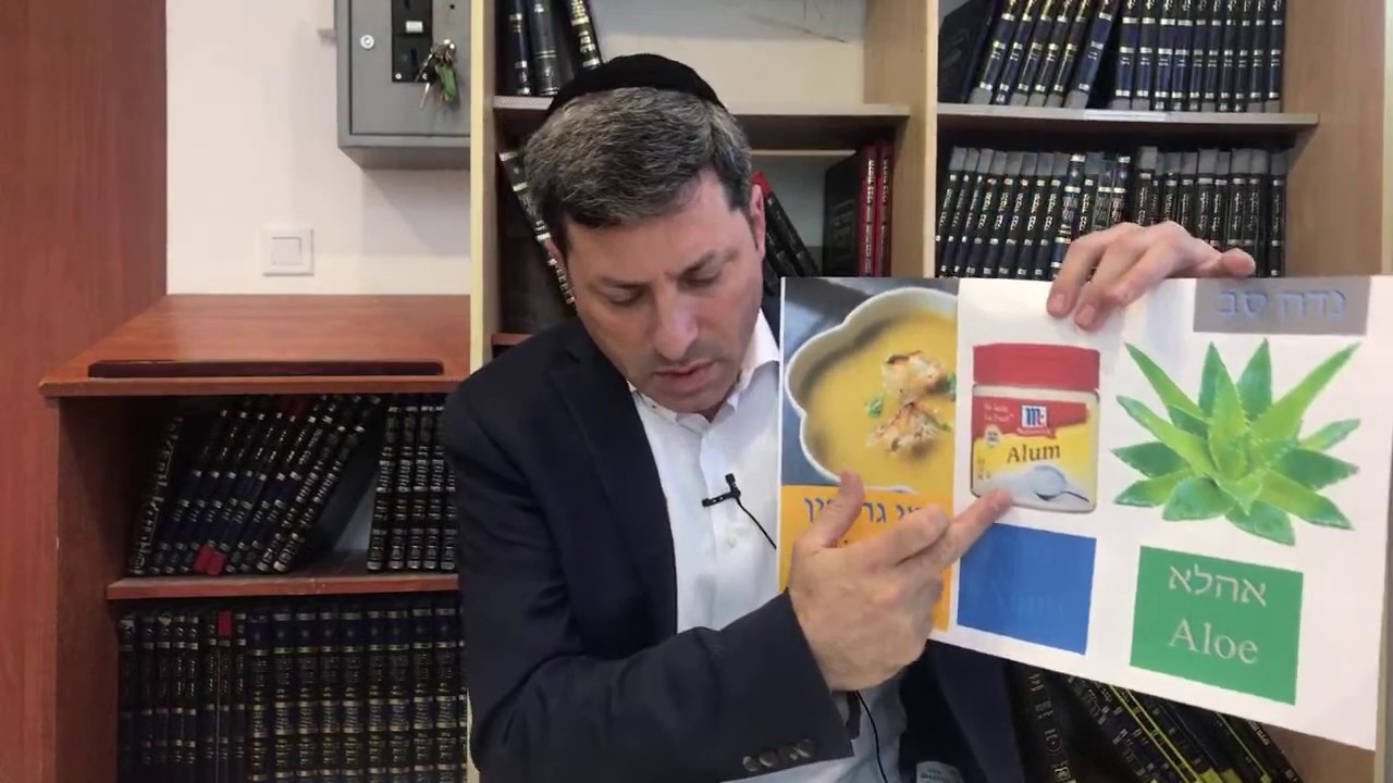 Daf Yomi Niddah Daf  62 by R’ Eli Stefansky