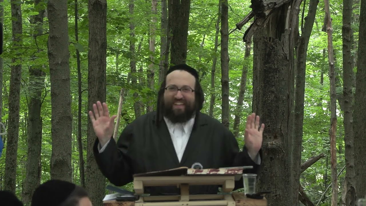 ר' יואל רוטה - שיעור ג ליק''מ ח''א סימן א' - ה' חקת תשפ''ד - R' Yoel Roth