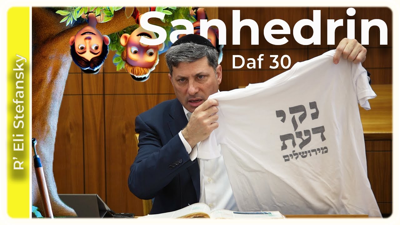 Daf Yomi Sanhedrin Daf 30 by R’ Eli Stefansky