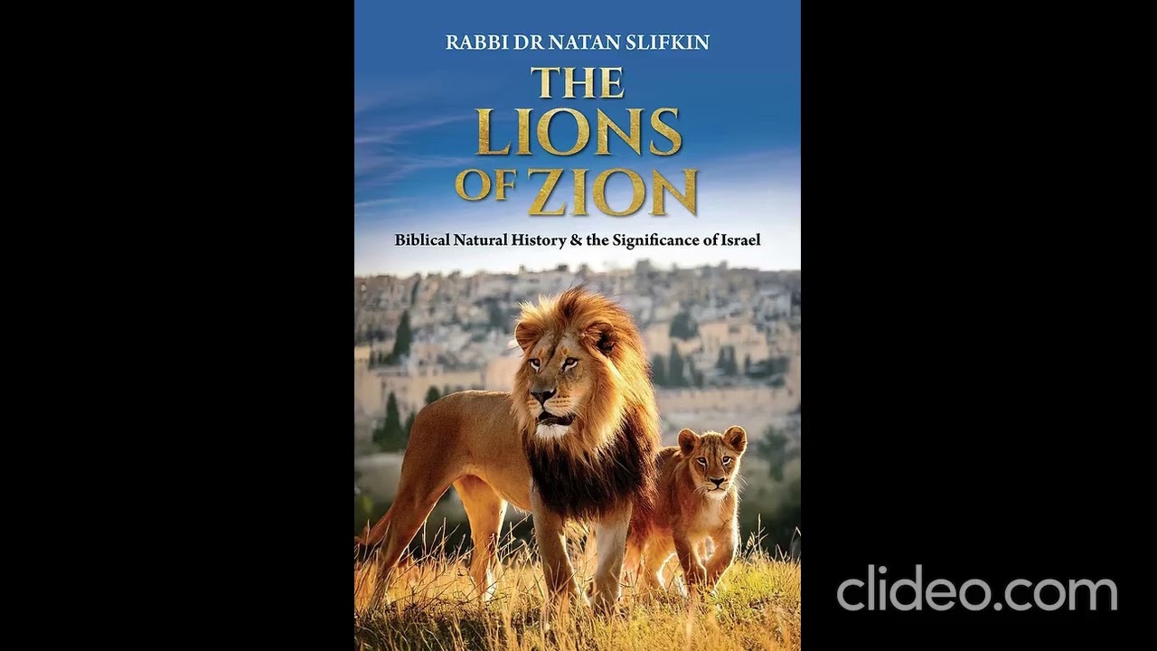 The Biblical Feast, Parshat Noach and More with Rabbi Dr. Slifkin on JM in the AM