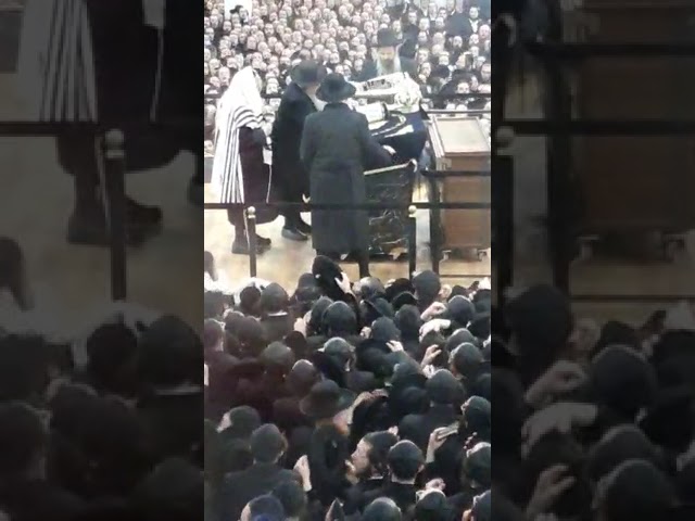 מעמד הכנסת ספר תורה אין גור