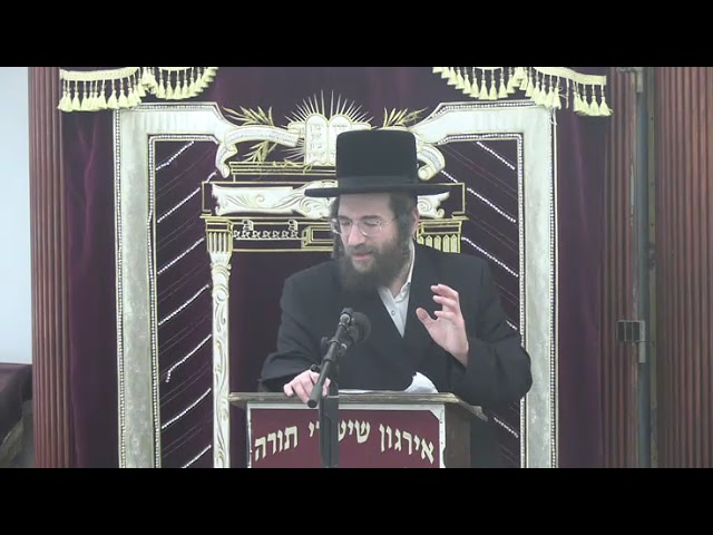 ויאמר המלך לאסתר מה שאלתך וינתן לך -  ר' אהרן וויינבערג שליט"א
