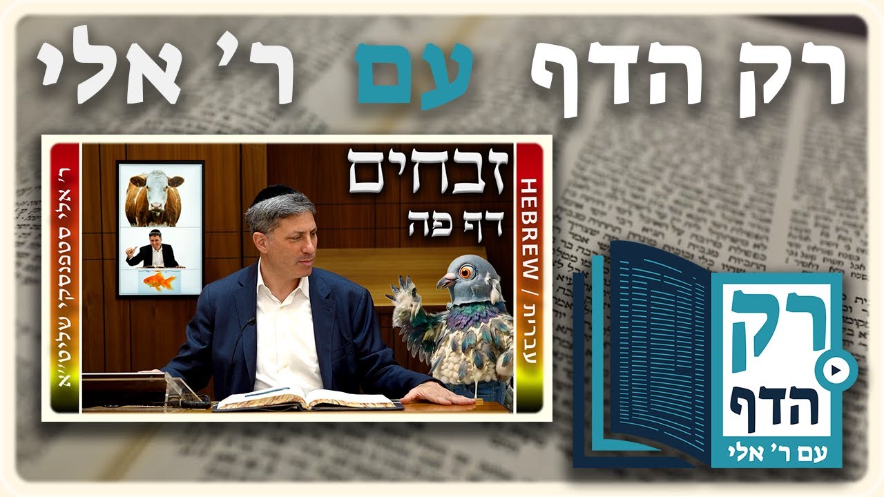 חזרה - זבחים דף פה | "רק הדף" עם ר' אלי סטפנסקי