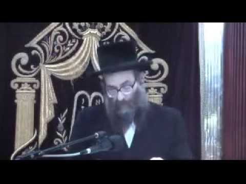 Belzer Dayan Rav Yehoshea H Katzberg - Kashrus In The Kitchen