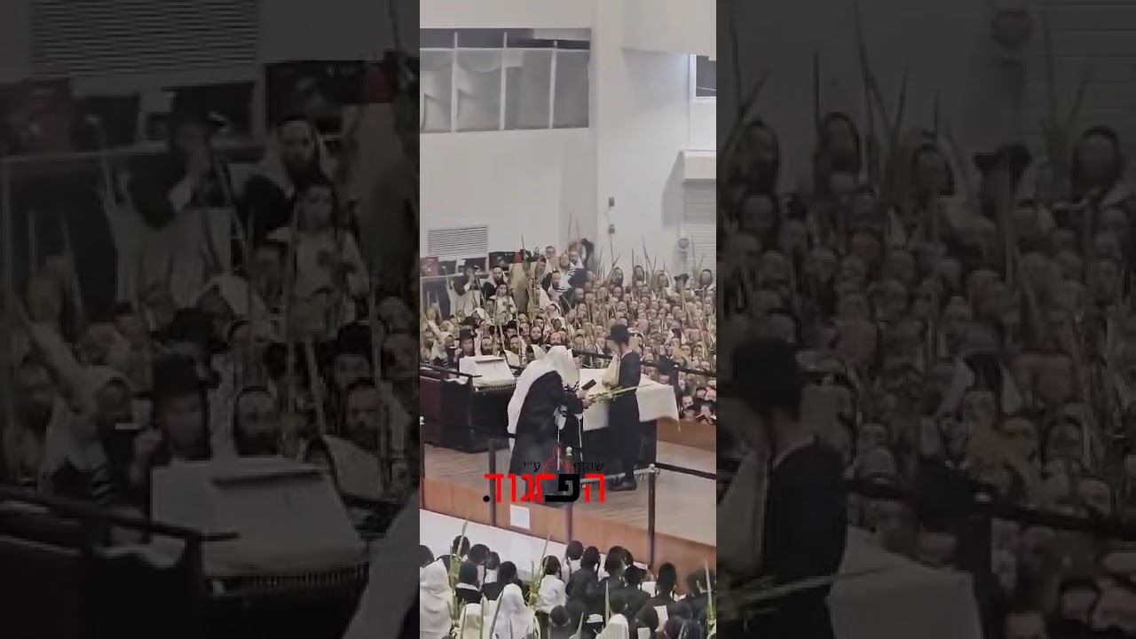 Hoshana With the Gerer  Rebbe Chol Hamoed Sukkos 5786