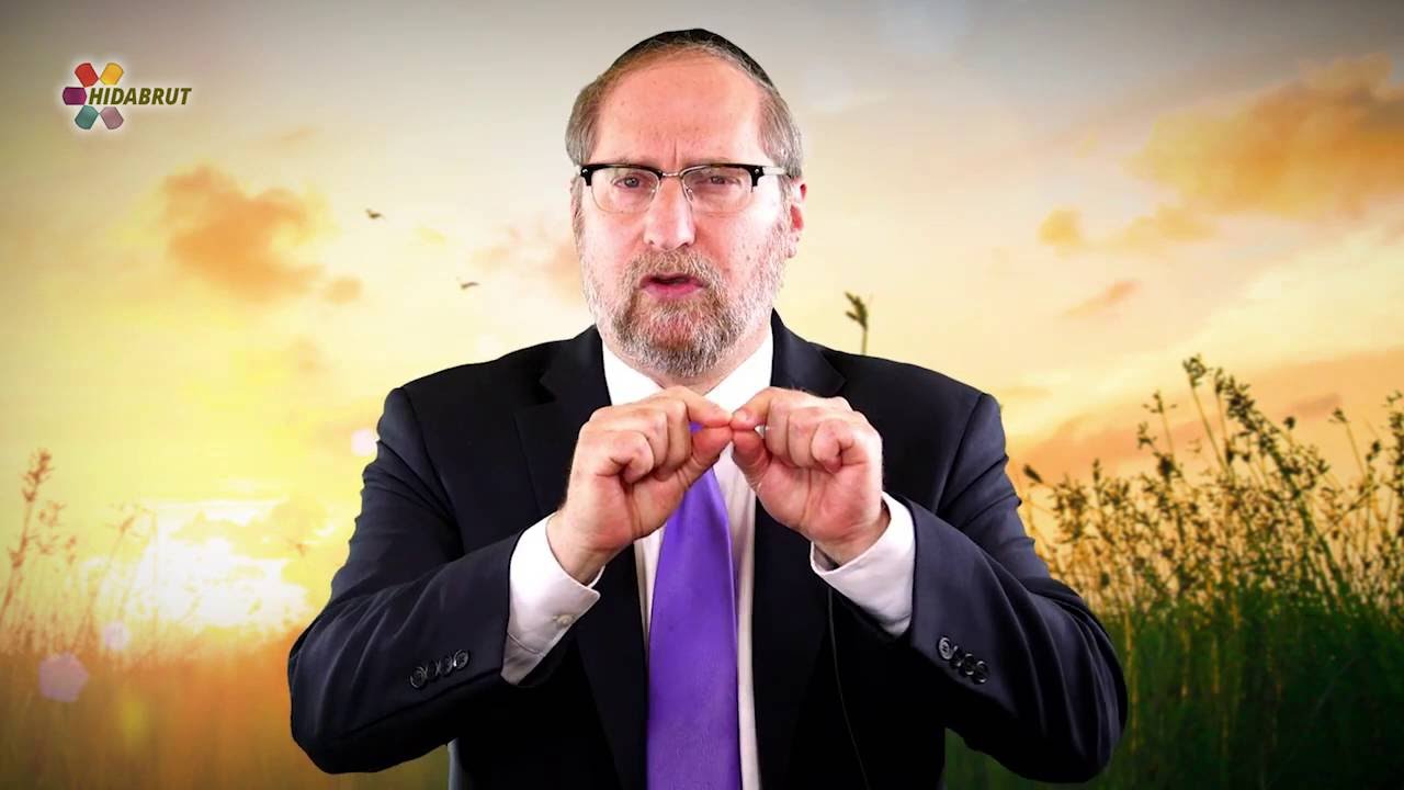 The Goodness of the World - Rabbi Benzion Shafier