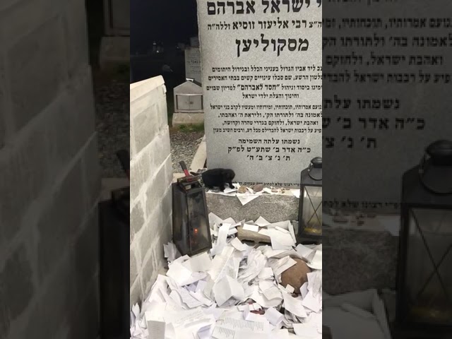 חתולה שחורה נראתה בציון הרה"ק מסקולען זצ"ל ובציון הרה"ק מריבניץ זצ"ל כנראה מבקש תיקון