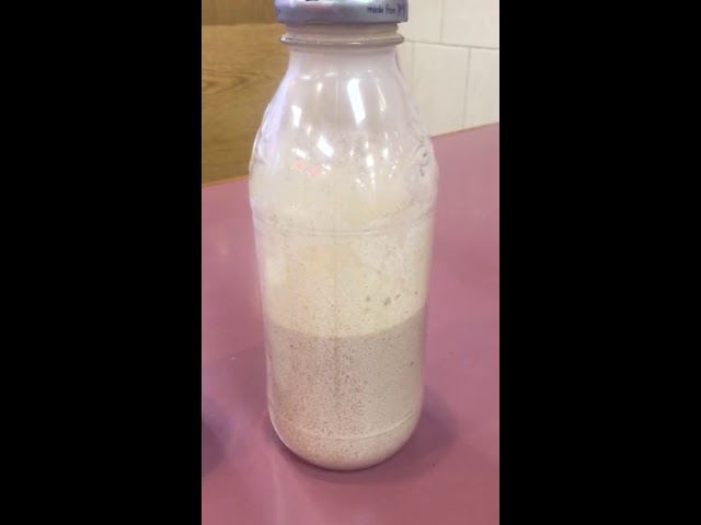 Newest Style Salt and Garlic Shaker in Israeli Pizza Shop