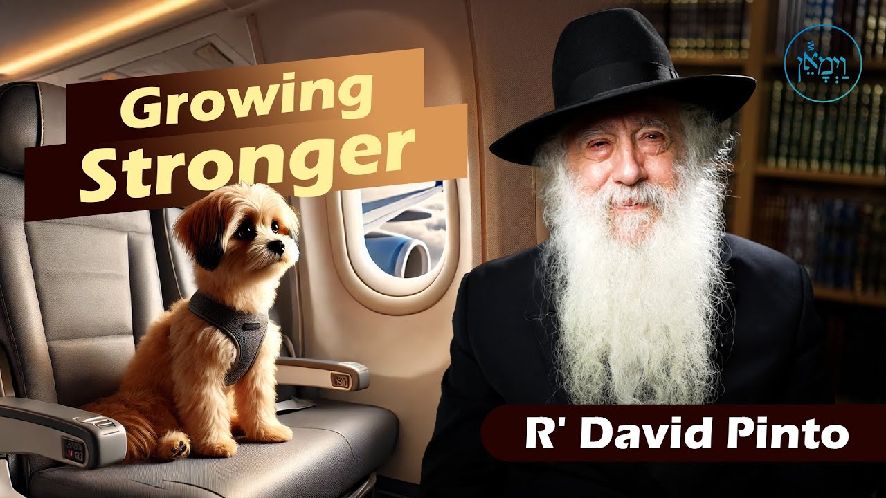 Growing Stronger | Rabbi David Pinto