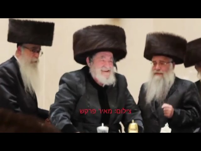 #רבי
